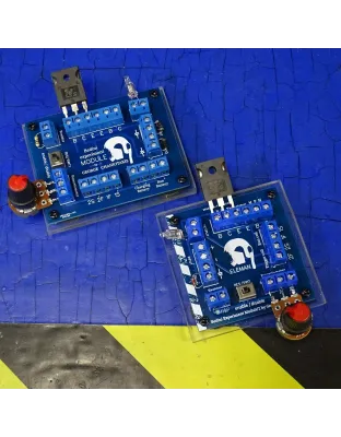 2pcs Bedini Motor Experiment Circuit Module SSG &amp; Circuit Module 2' by ELEMAN